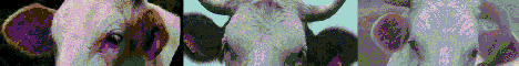 LaVacheQuiR�ve
