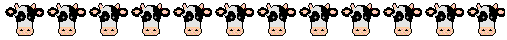 barre.gif barre.gif