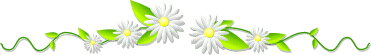 marguerite.gif