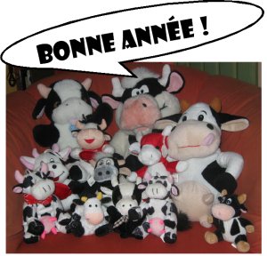 groupe_peluches_ba2008.jpg