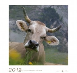 fous-de-vaches-2012.jpg