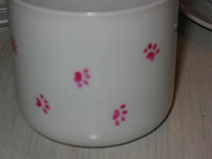 chat_tasse05.jpg