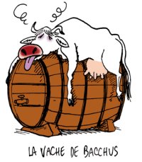 vache_bacchus_mcambon.jpg