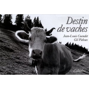 destins-de-vaches.jpg