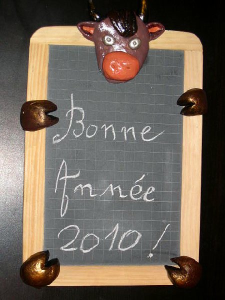 bonne_annee2010.jpg