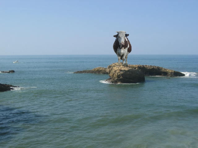 vache en mer création Lavachequireve