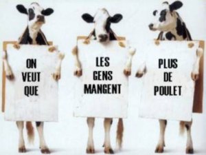 vache_manif.jpg