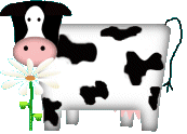 vachemarguerite.gif