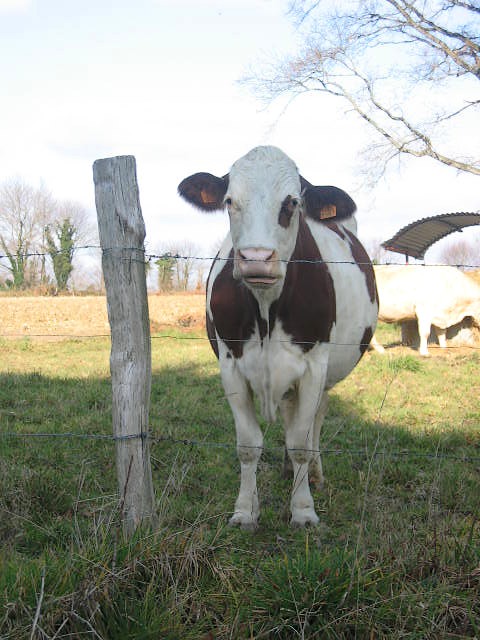 Rencontre à ouillon